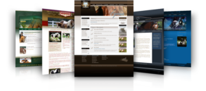 köpa hemsida stockholm