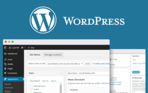 hemsida WordPress guide