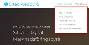 undersidor-wordpress-pris