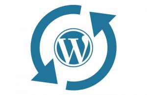 uppdatera-wordpress-hemsida-tillägg