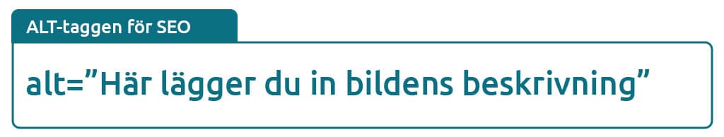 bildoptimering-seo