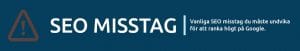 seo-misstag