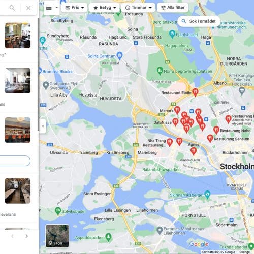 synas-i-google-maps