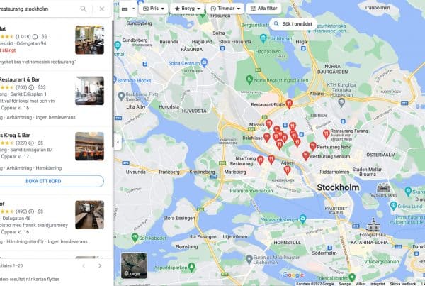 synas-i-google-maps
